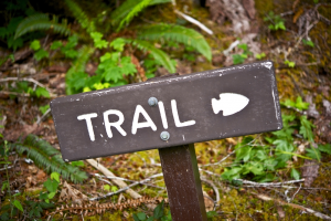 Close-up photo of a picket sign that says "trail" with an arrow pointing to the right, as we see it. In the backgrounds there is a view of the mossy ground.