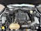 2016 Ford Mustang EcoBoost