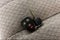 2023 Chevrolet Express Passenger 3500 1LT